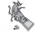 flight-of-the-concords-mouse-trap flight-of-the-concords-mouse-trap