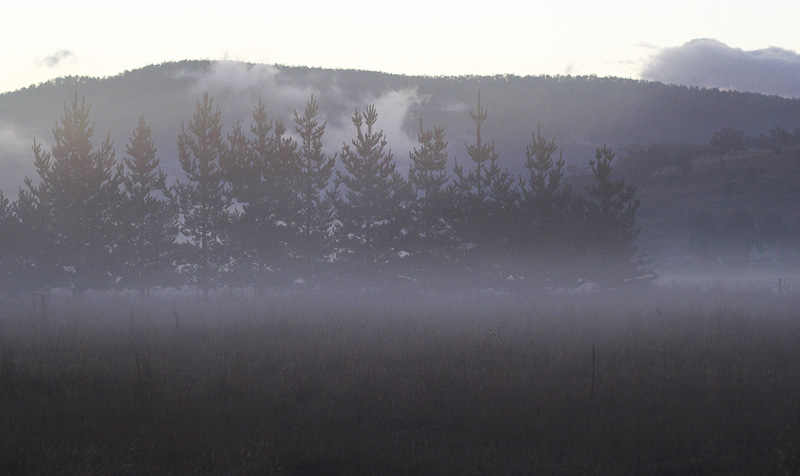 fog forming 021